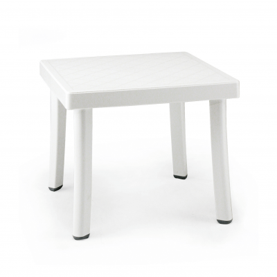 Rodi White