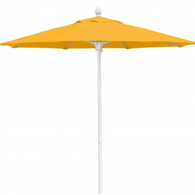 MPUW Sunflower Yellow